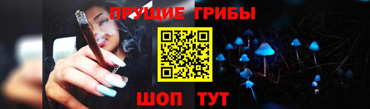 Псилоцибиновые грибы GOLDEN TEACHER  Галлюциногенные грибы ЛСД  Каменка  Вход с VPN 